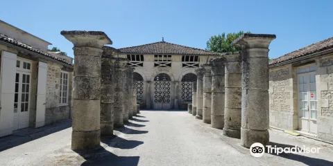 Museum D'archeologie