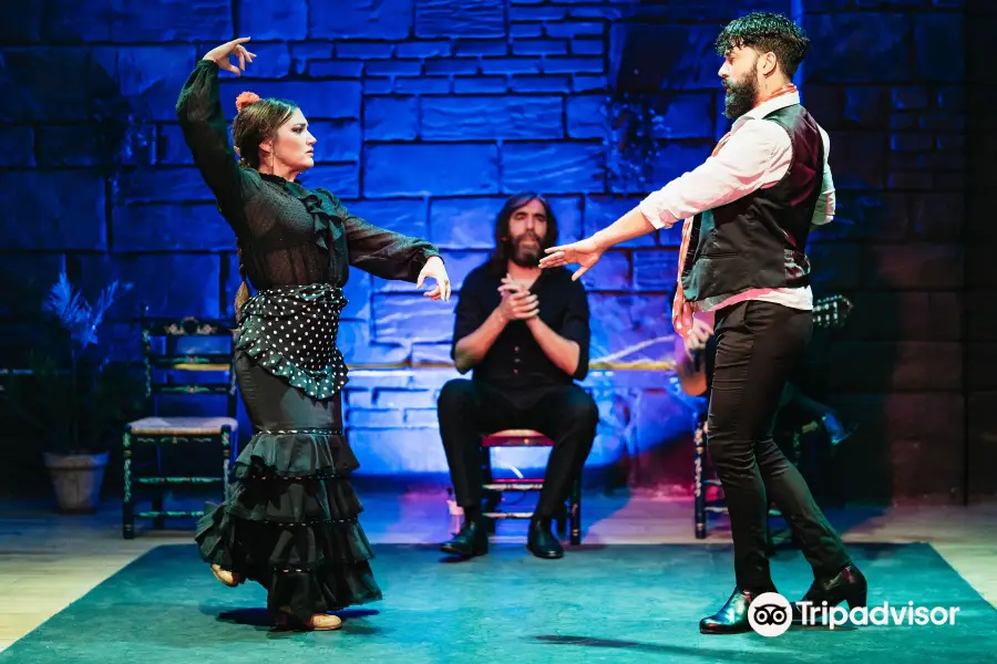 Baraka Flamenco Show