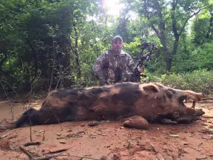 Hog Wild