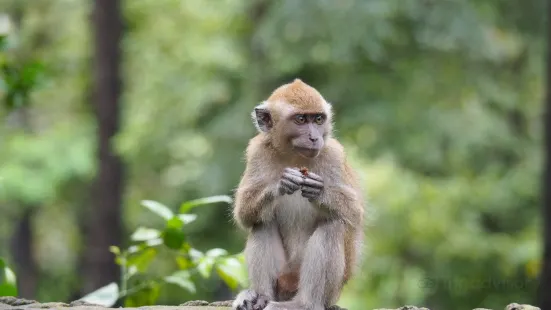 Taman Wisata Alam Punti Kayu