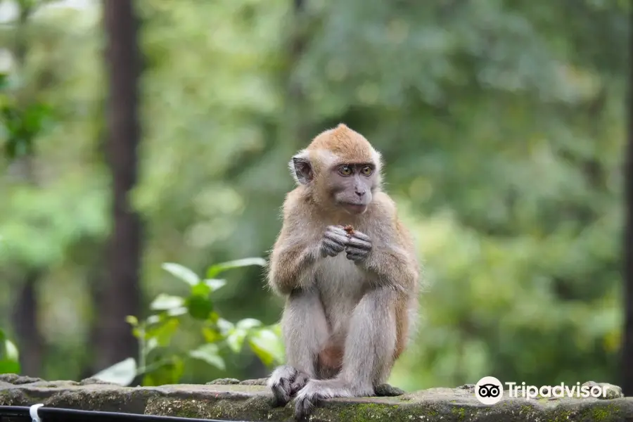 Taman Wisata Alam Punti Kayu