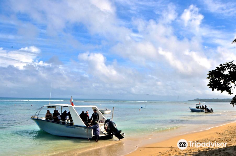 Dzaoudzi to Sainte Marie Flights
