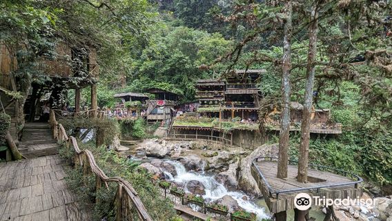 Sapa