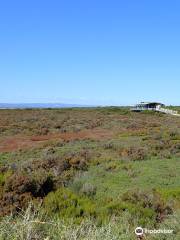 St Kilda Mangrove Trail