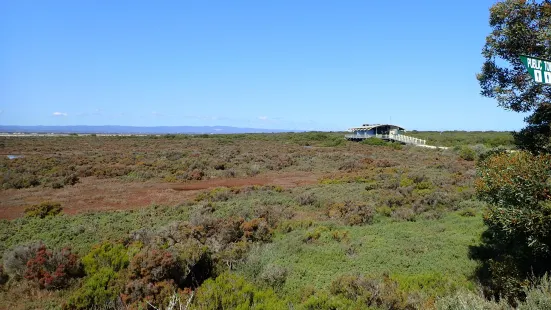 St Kilda Mangrove Trail