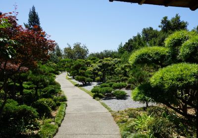 Hayward Japanese Gardens