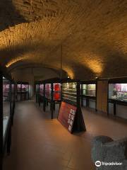 Museo Archeologico della Val Tidone