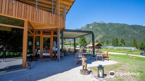 Azienda Agricola Bosc del Meneghi