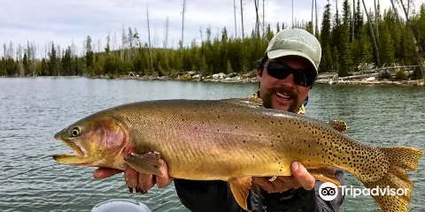 Jackson Hole Anglers