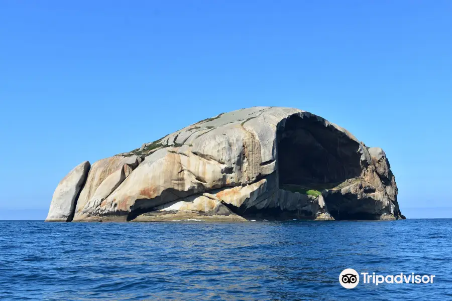 Refuge Cove Cruises