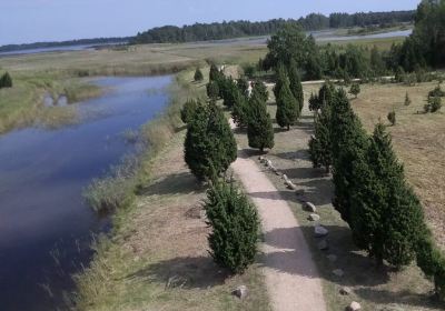 Lapmezciems
