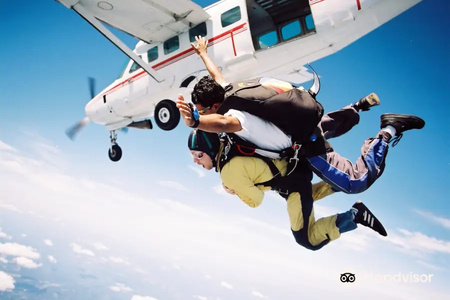 Ace Skydive