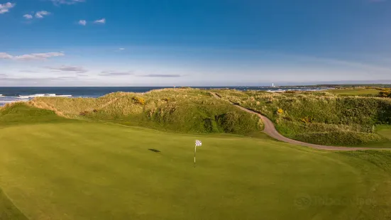 Montrose Golf Links Ltd