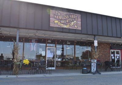 The Hairless Hare Brewery