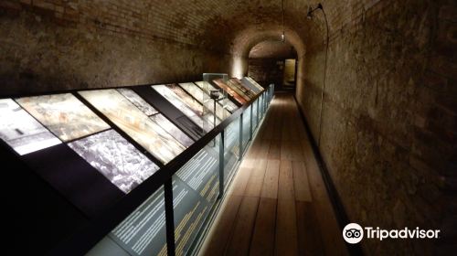 Museo Archeologico di Siena