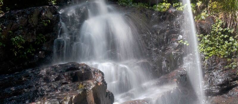 Bangalore Falls Track