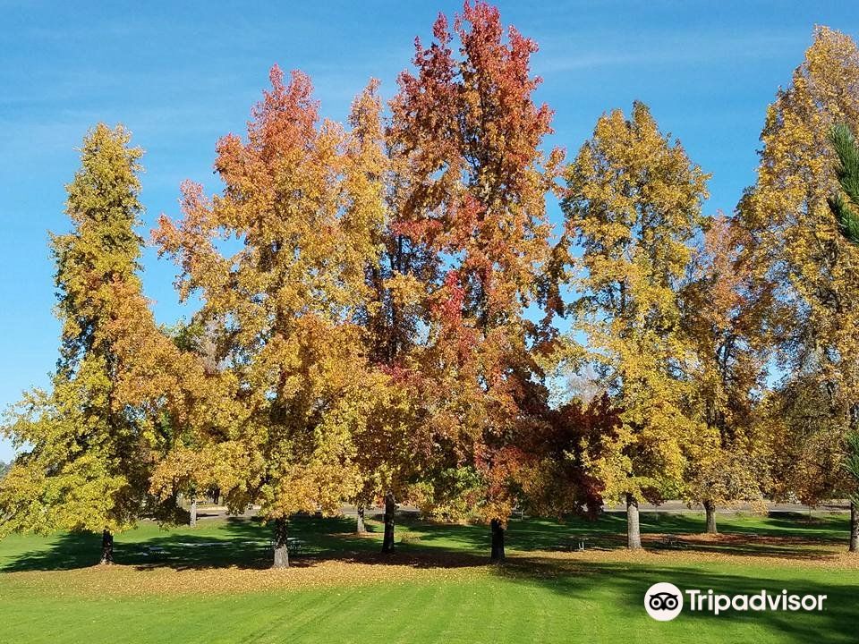 River Forks Park