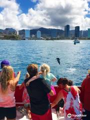 Hawaii Glass Bottom Boats