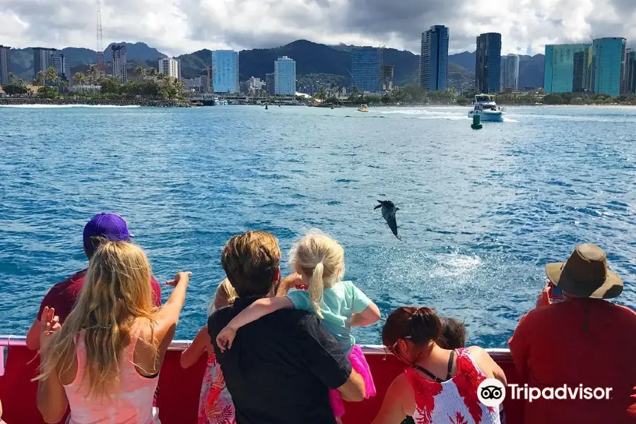 Hawaii Glass Bottom Boats