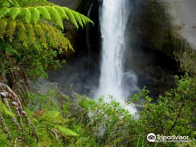 Mount Damper Falls