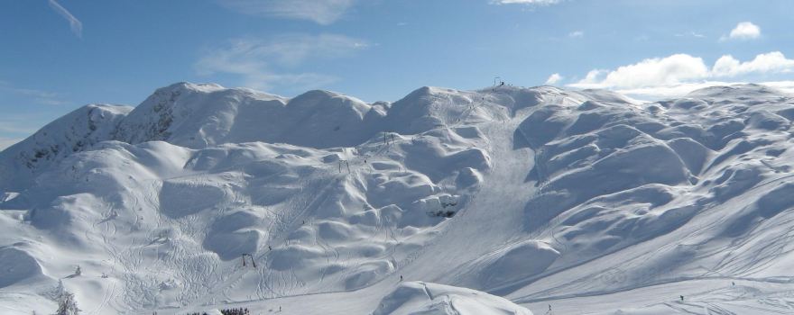 Vogel ski center