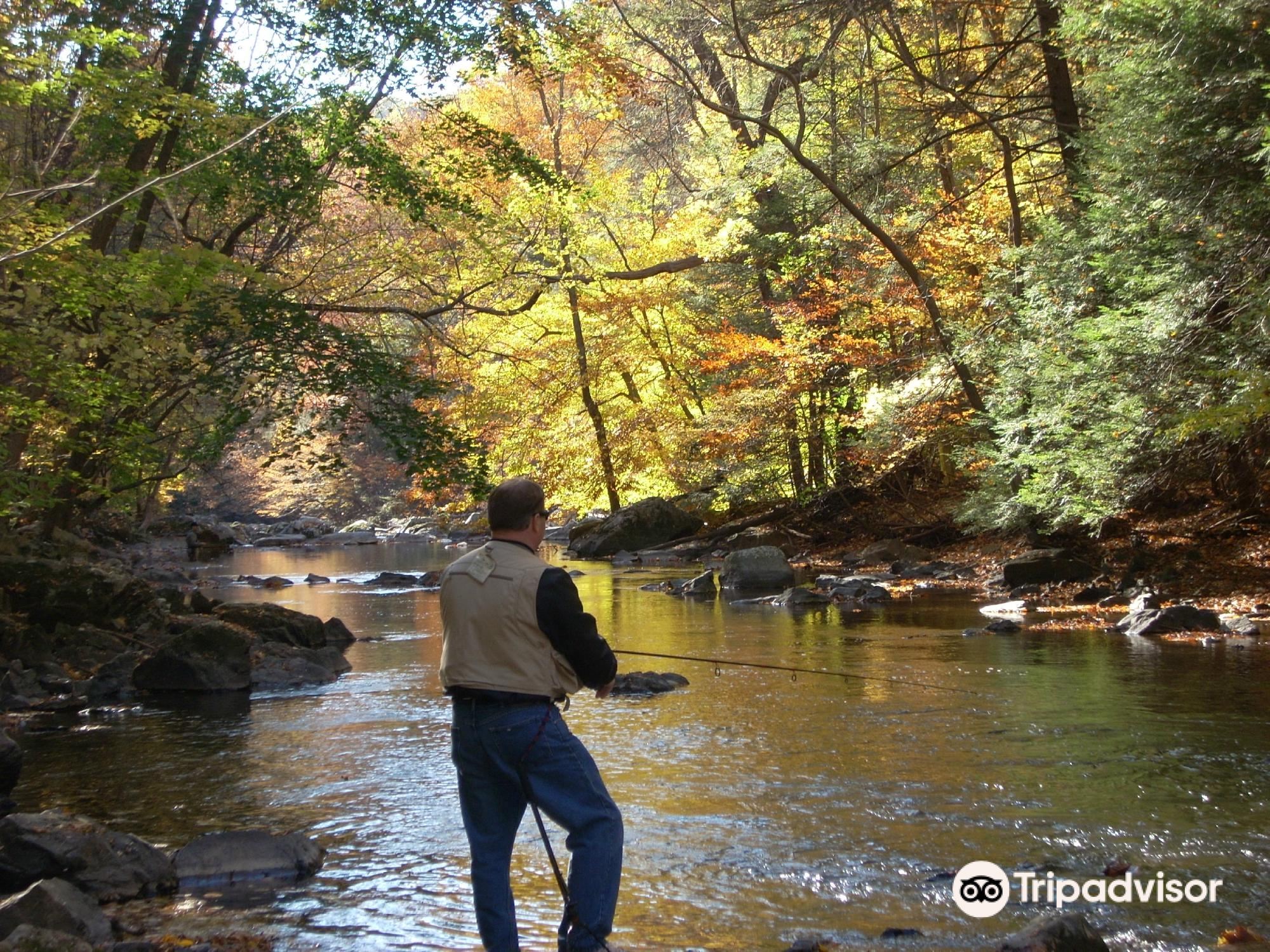 Free Stock Photo of Stream in Ken Lockwood Gorge in Autumn