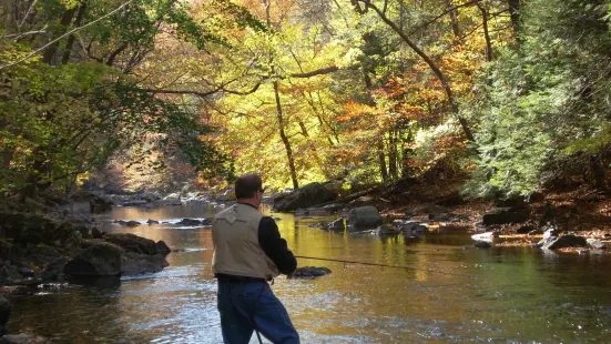 Ken Lockwood Gorge Wildlife Management Area