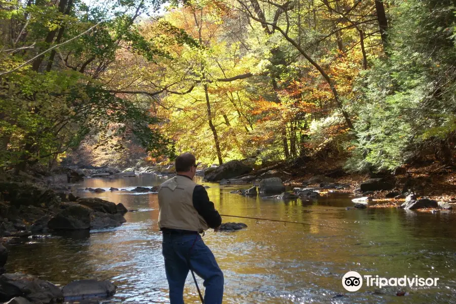 Ken Lockwood Gorge Wildlife Management Area