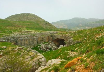 مزرعة كفرذبيان