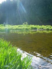 Calmwaters Fly Fishing