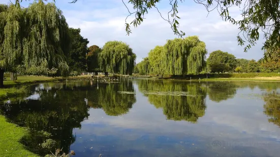 Bushy Park