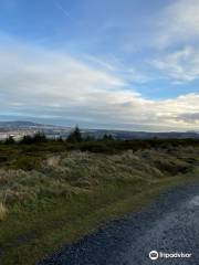 The Paddocks Riding Centre