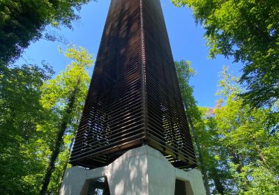 Napoleonturm Hohenrain