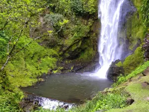 Cataratas Viento Fresco