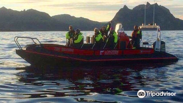 Lofoten fishing & searafting
