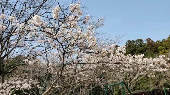 Ryugasakishi Forest Park