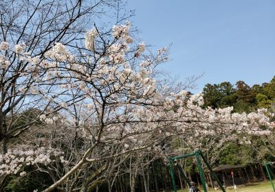 Ryugasakishi Forest Park