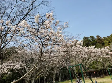 Ryugasakishi Forest Park