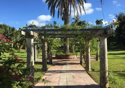 Palm Grove