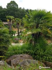 Parc tropical