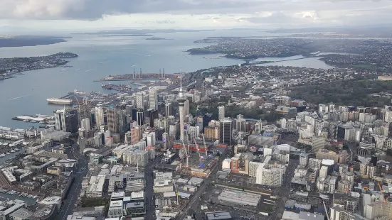 Auckland Aero Club