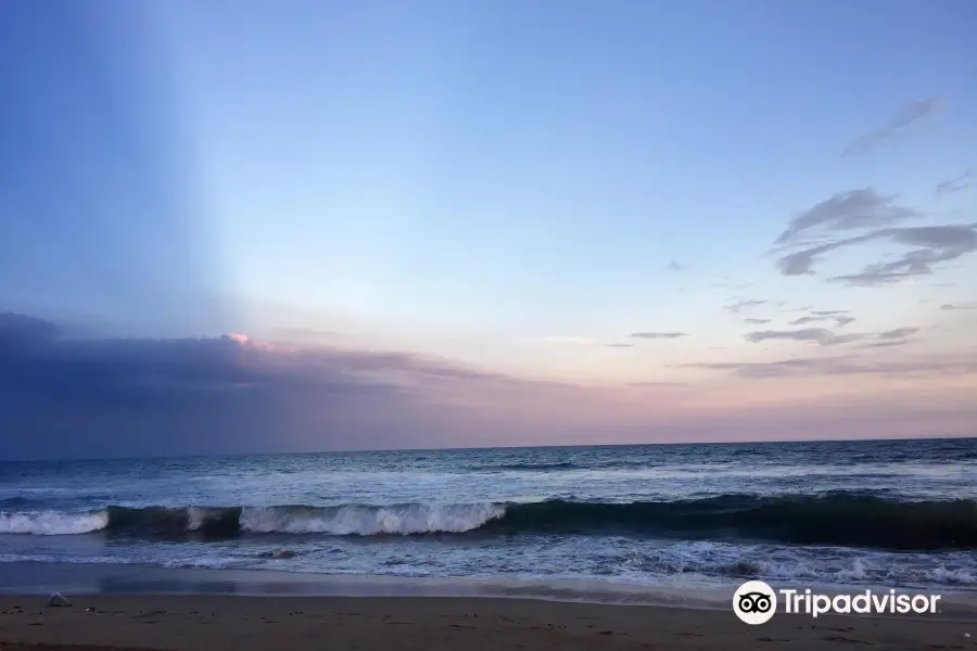 Besant Nagar Beach