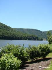 Sinnemahoning State Park