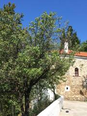 Panagia Eikonistria Monastery