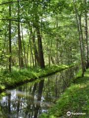 Gurkenradweg Spreewald