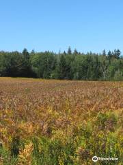 Maine Coastal Islands National Wildlife Refuge