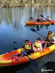 Walking on Water & Ulladulla Surf School