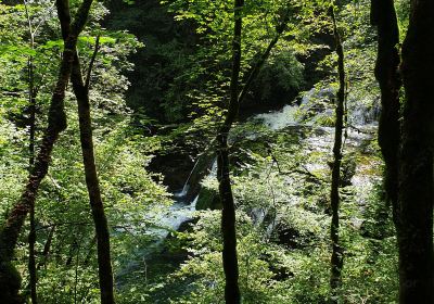 Gorges de Nouailles