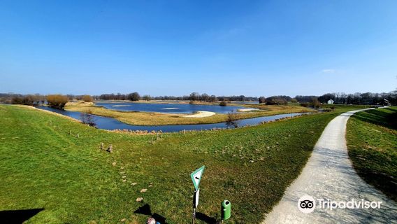 Naturschutzgebiet Steinhorster Becken