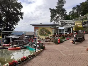 Sommer-Rodelbahn Bodenwerder